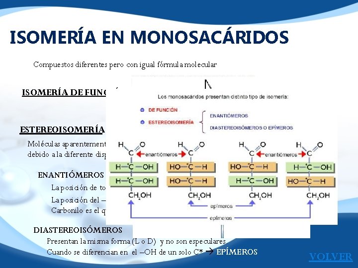 ISOMERÍA EN MONOSACÁRIDOS Compuestos diferentes pero con igual fórmula molecular ISOMERÍA DE FUNCIÓN ESTEREOISOMERÍA