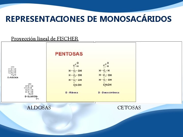 REPRESENTACIONES DE MONOSACÁRIDOS Proyección lineal de FISCHER ALDOSAS CETOSAS 
