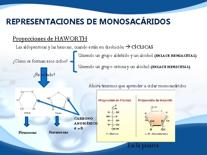 REPRESENTACIONES DE MONOSACÁRIDOS Proyecciones de HAWORTH Las aldopentosas y las hexosas, cuando están en