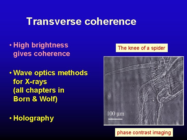 Transverse coherence • High brightness gives coherence The knee of a spider • Wave