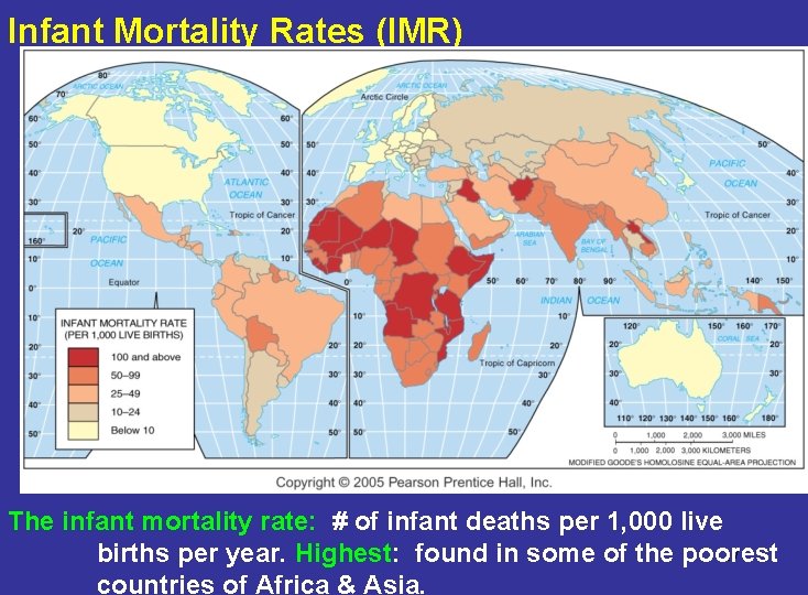 Infant Mortality Rates (IMR) The infant mortality rate: # of infant deaths per 1,