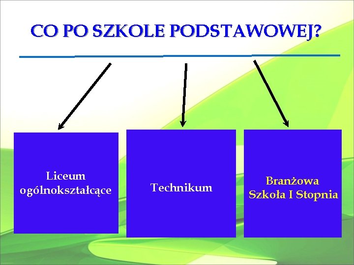 CO PO SZKOLE PODSTAWOWEJ? Liceum ogólnokształcące Technikum Branżowa Szkoła I Stopnia 