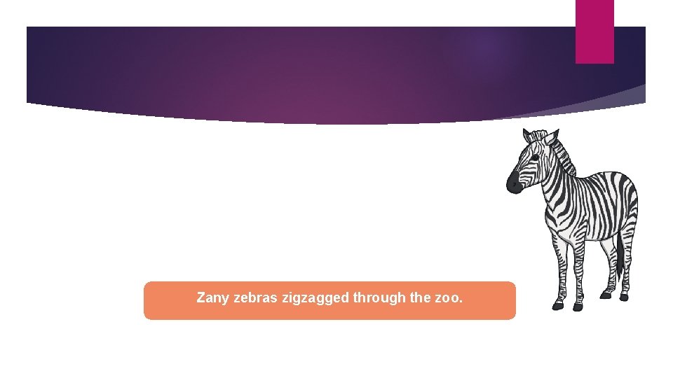 Zany zebras zigzagged through the zoo. 