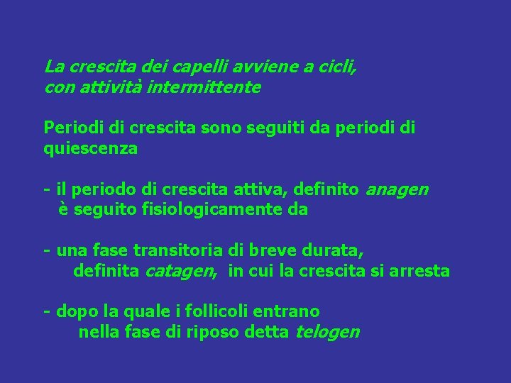 La crescita dei capelli avviene a cicli, con attività intermittente Periodi di crescita sono