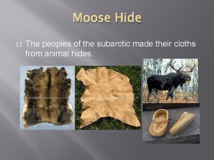 Moose Hide � The peoples of the subarctic made their cloths from animal hides.