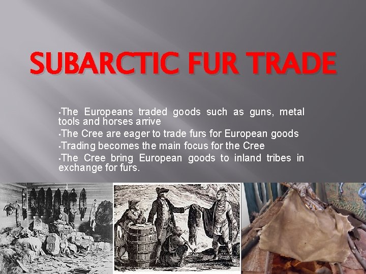 SUBARCTIC FUR TRADE • The Europeans traded goods such as guns, metal tools and