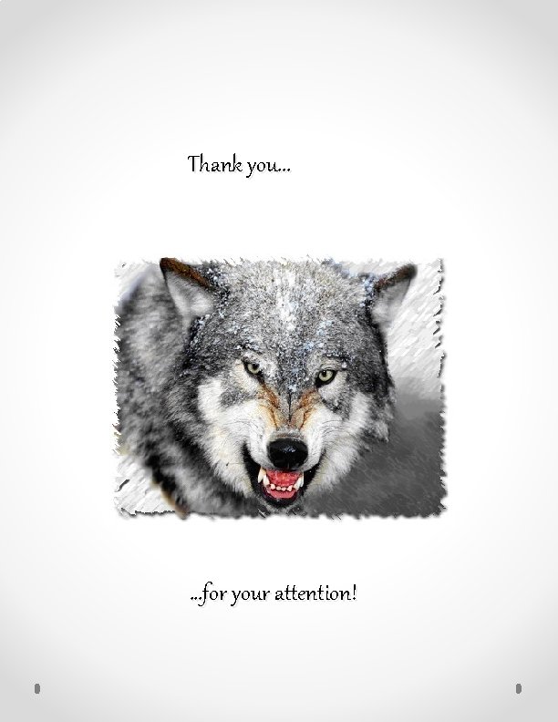Thank you. . . for your attention! 