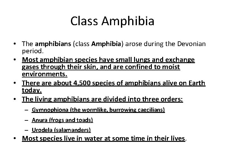 Class Amphibia • The amphibians (class Amphibia) arose during the Devonian period. • Most