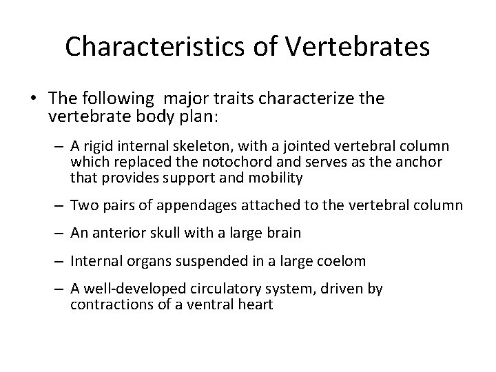 Characteristics of Vertebrates • The following major traits characterize the vertebrate body plan: –
