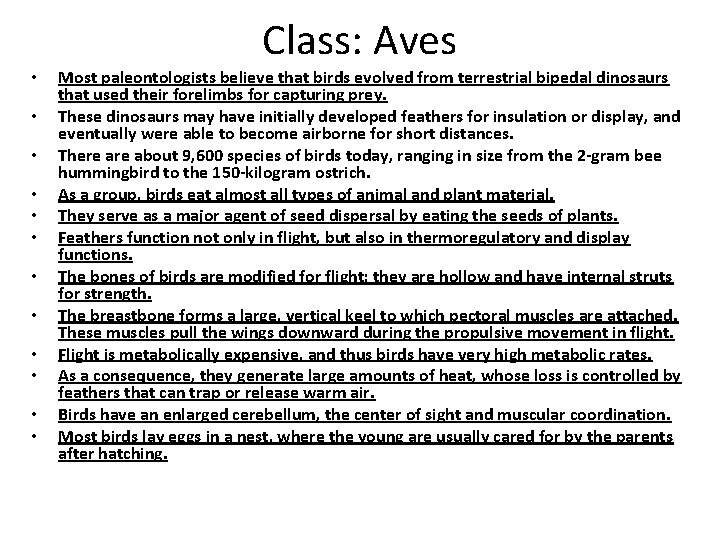 Class: Aves • • • Most paleontologists believe that birds evolved from terrestrial bipedal