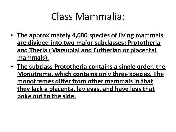 Class Mammalia: • The approximately 4, 000 species of living mammals are divided into