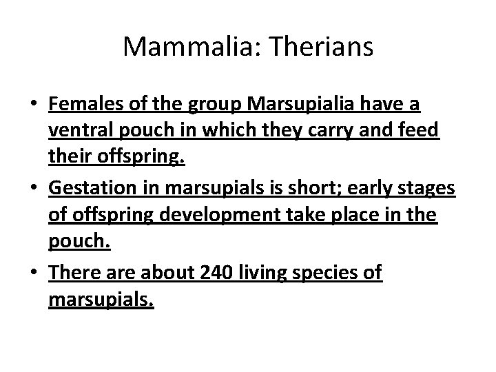 Mammalia: Therians • Females of the group Marsupialia have a ventral pouch in which