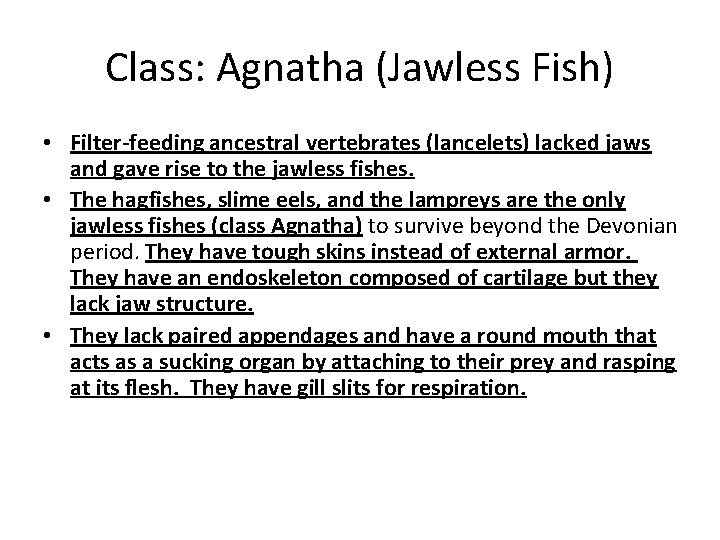 Class: Agnatha (Jawless Fish) • Filter-feeding ancestral vertebrates (lancelets) lacked jaws and gave rise