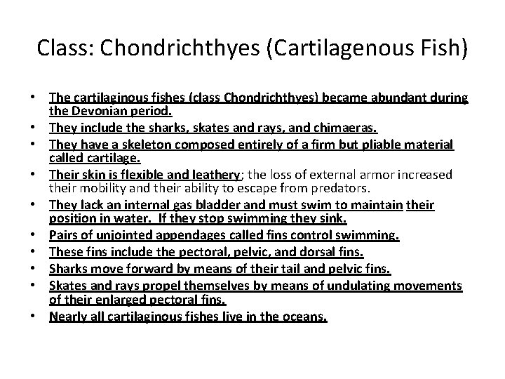 Class: Chondrichthyes (Cartilagenous Fish) • The cartilaginous fishes (class Chondrichthyes) became abundant during the