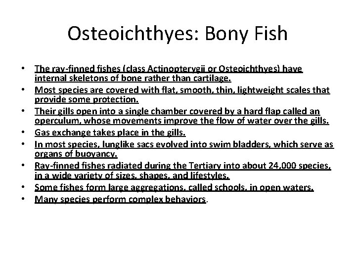 Osteoichthyes: Bony Fish • The ray-finned fishes (class Actinopterygii or Osteoichthyes) have internal skeletons