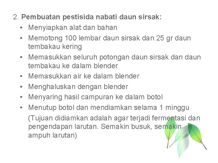 2. Pembuatan pestisida nabati daun sirsak: • Menyiapkan alat dan bahan • Memotong 100