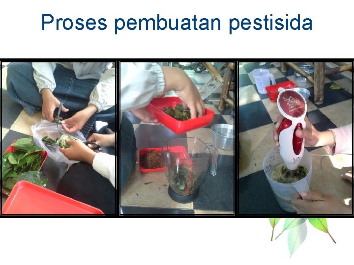 Proses pembuatan pestisida 