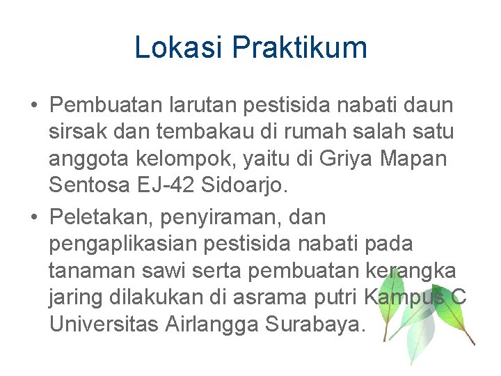 Lokasi Praktikum • Pembuatan larutan pestisida nabati daun sirsak dan tembakau di rumah salah