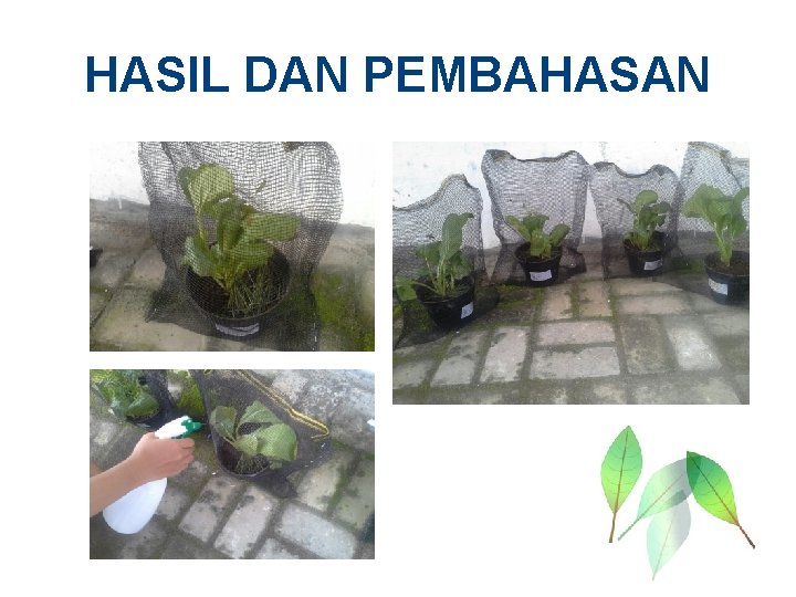 HASIL DAN PEMBAHASAN 