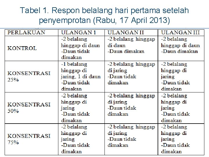 Tabel 1. Respon belalang hari pertama setelah penyemprotan (Rabu, 17 April 2013) 