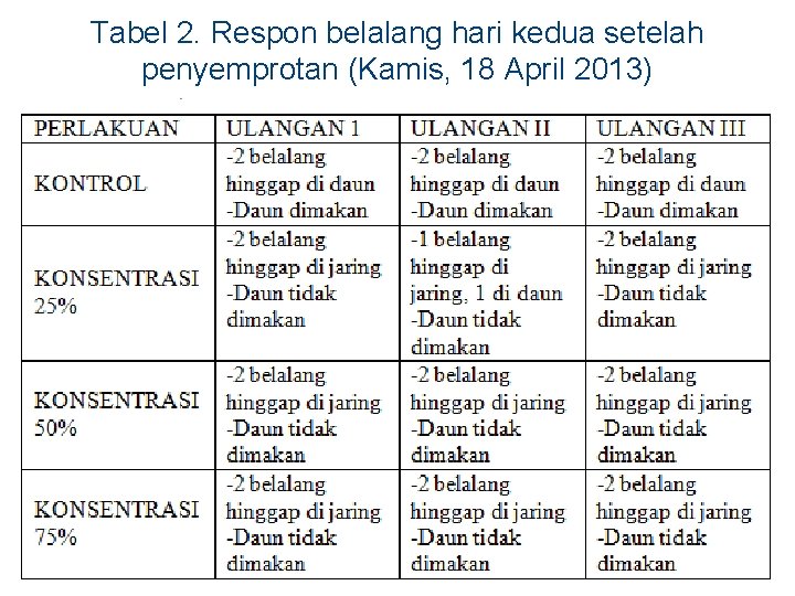 Tabel 2. Respon belalang hari kedua setelah penyemprotan (Kamis, 18 April 2013) 