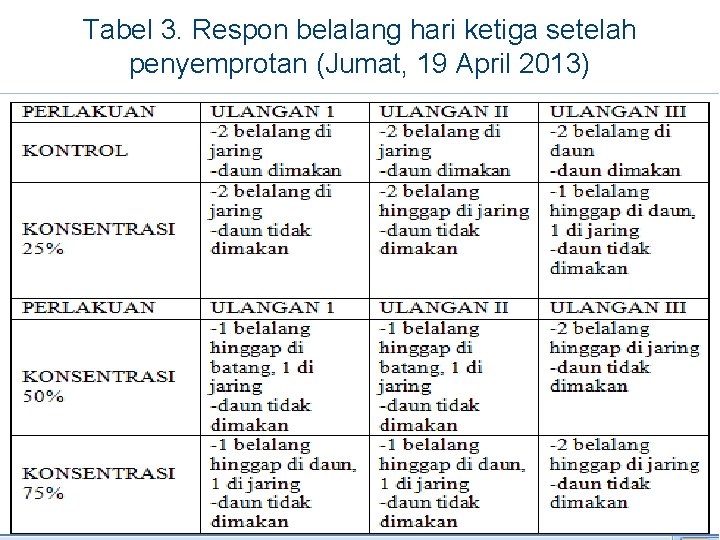 Tabel 3. Respon belalang hari ketiga setelah penyemprotan (Jumat, 19 April 2013) 