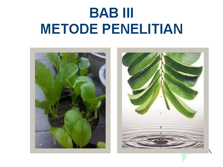 BAB III METODE PENELITIAN 