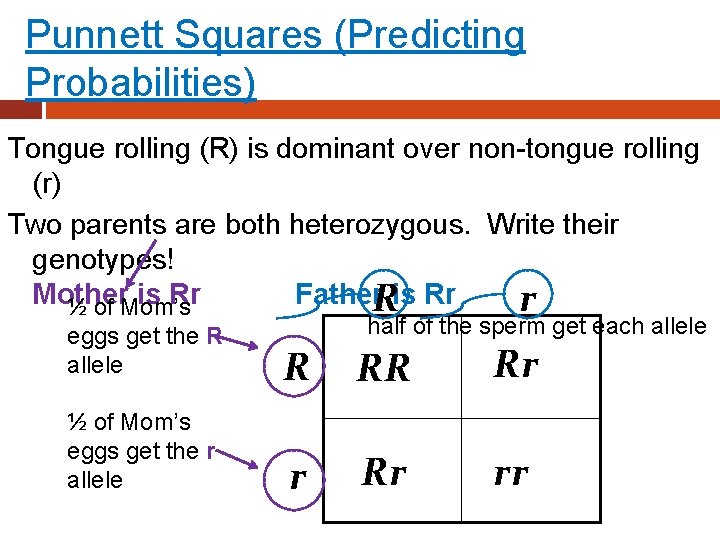 Punnett Squares (Predicting Probabilities) Tongue rolling (R) is dominant over non-tongue rolling (r) Two
