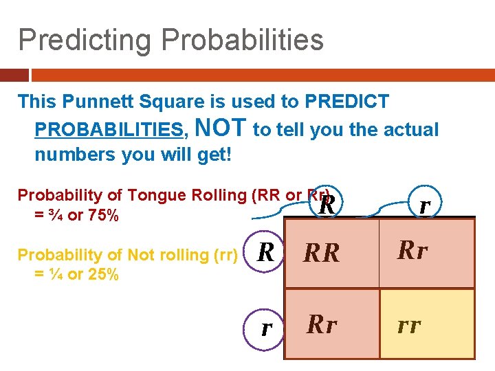Predicting Probabilities This Punnett Square is used to PREDICT PROBABILITIES, NOT to tell you
