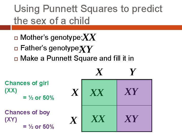 Using Punnett Squares to predict the sex of a child Mother’s genotype: XX Father’s