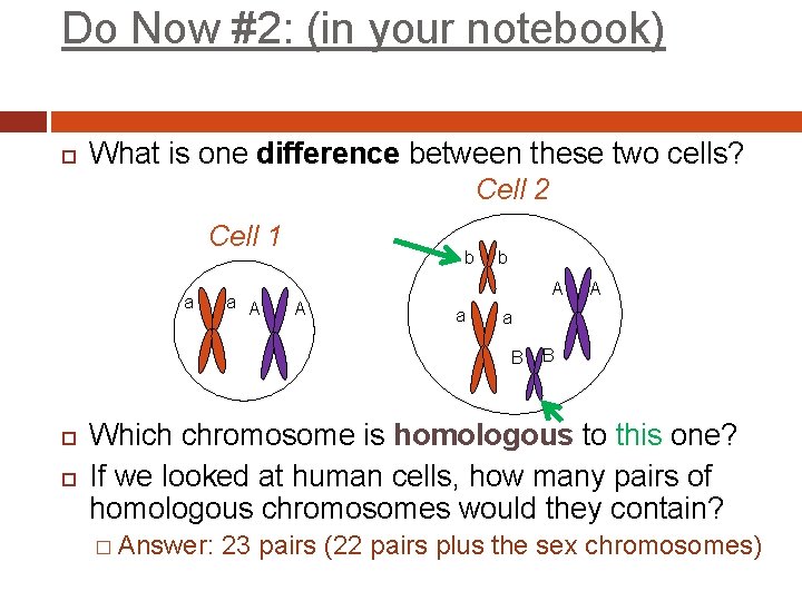Do Now #2: (in your notebook) What is one difference between these two cells?