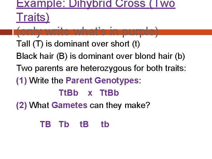 Example: Dihybrid Cross (Two Traits) (only write what’s in purple) Tall (T) is dominant