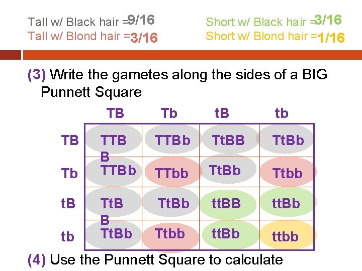 Tall w/ Black hair =9/16 Tall w/ Blond hair =3/16 Short w/ Black hair