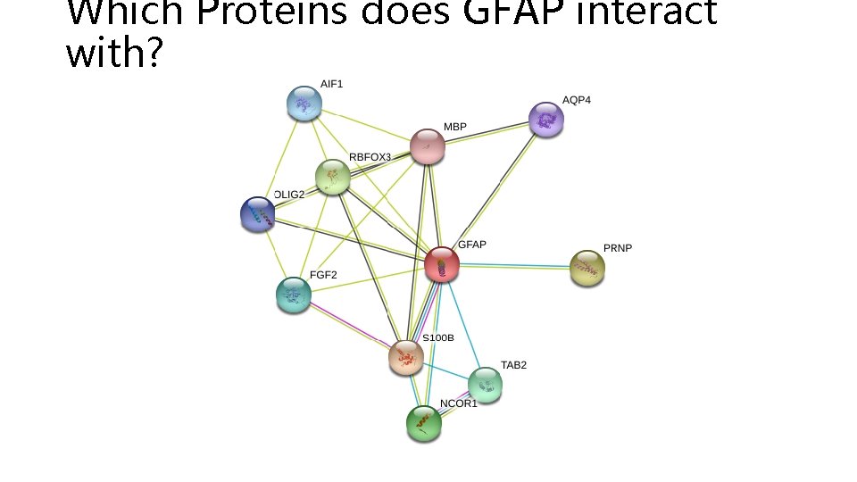 Which Proteins does GFAP interact with? 