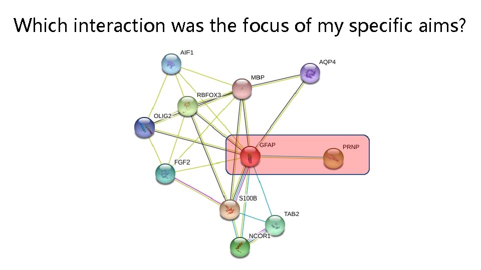 Which interaction was the focus of my specific aims? 