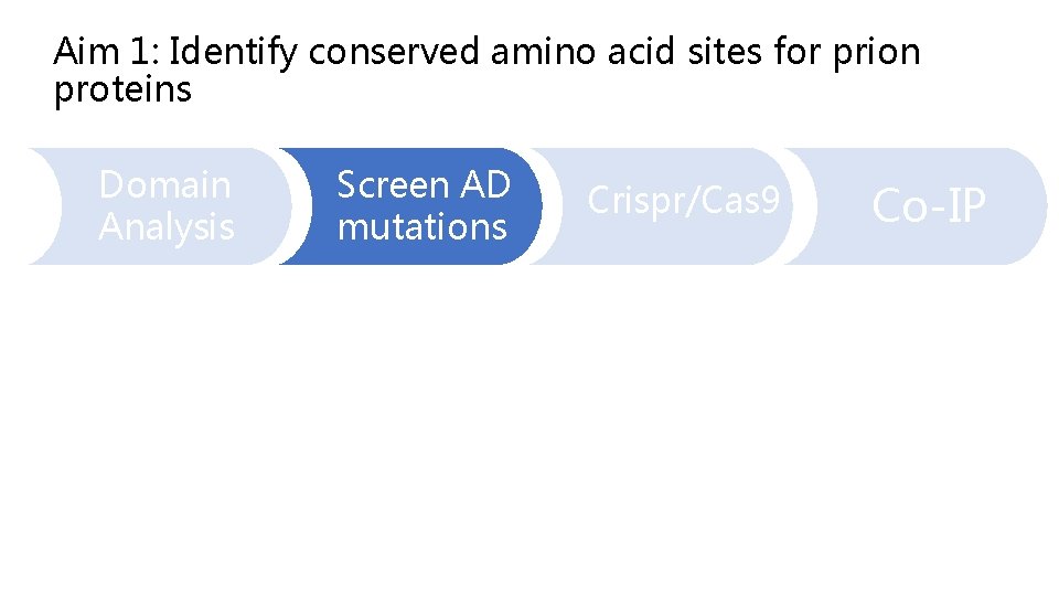 Aim 1: Identify conserved amino acid sites for prion proteins Domain Analysis Screen AD
