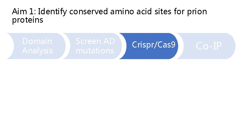 Aim 1: Identify conserved amino acid sites for prion proteins Domain Analysis Screen AD