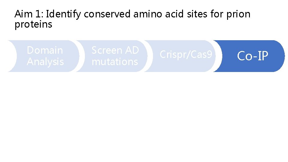 Aim 1: Identify conserved amino acid sites for prion proteins Domain Analysis Screen AD