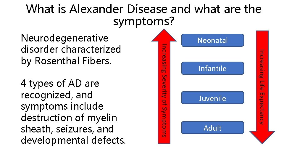 What is Alexander Disease and what are the symptoms? Neonatal Infantile Juvenile Adult Increasing