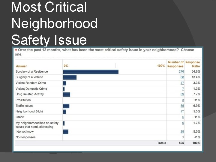 Most Critical Neighborhood Safety Issue 