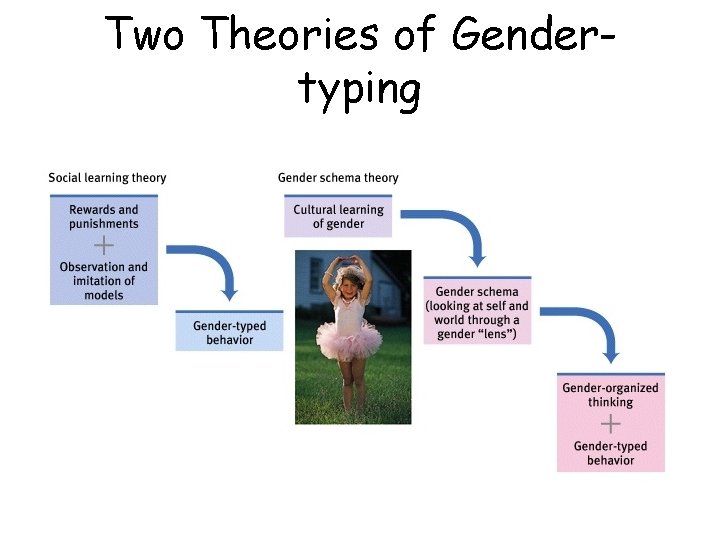 Two Theories of Gendertyping 