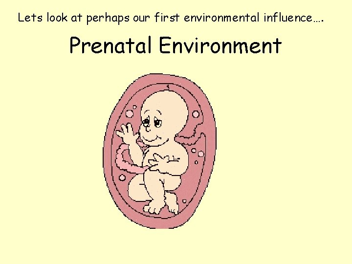 Lets look at perhaps our first environmental influence…. Prenatal Environment 