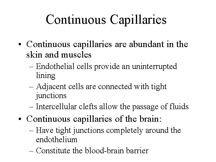Continuous Capillaries • Continuous capillaries are abundant in the skin and muscles – Endothelial