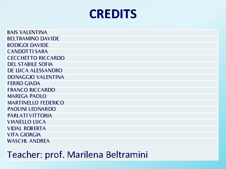 CREDITS BAIS VALENTINA BELTRAMINO DAVIDE BODIGOI DAVIDE CANDOTTI SARA CECCHETTO RICCARDO DEL STABILE SOFIA