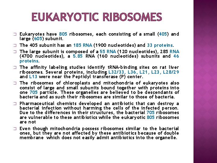 EUKARYOTIC RIBOSOMES � � � � Eukaryotes have 80 S ribosomes, each consisting of