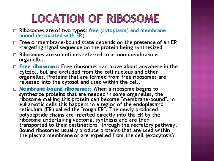 LOCATION OF RIBOSOME � � � Ribosomes are of two types: free (cytoplasm) and