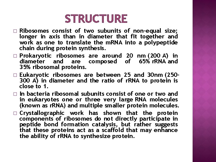 STRUCTURE � � � Ribosomes consist of two subunits of non-equal size; longer in