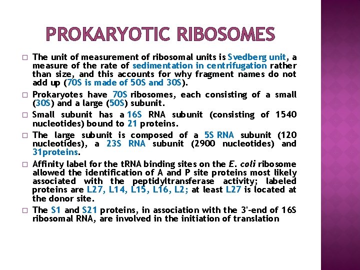 PROKARYOTIC RIBOSOMES � � � The unit of measurement of ribosomal units is Svedberg