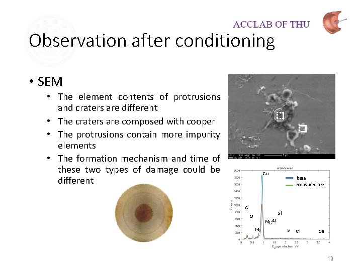 Observation after conditioning • SEM • The element contents of protrusions and craters are