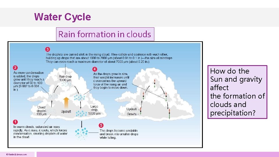Water Cycle Rain formation in clouds How do the Sun and gravity affect the Water Cycle Rain formation in clouds How do the Sun and gravity affect the